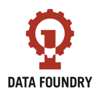 Data Foundry logo
